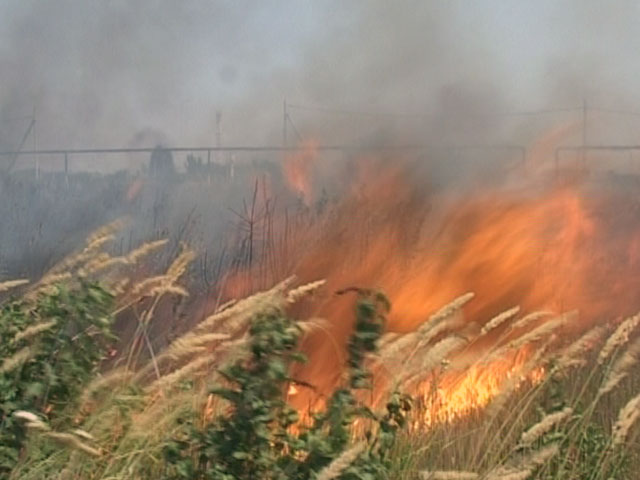 В Астраханской области МЧС объявило штормовое предупреждение
