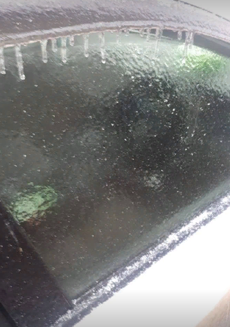 Фото дня: в Астрахани машины превратились в ледяные "тортики"