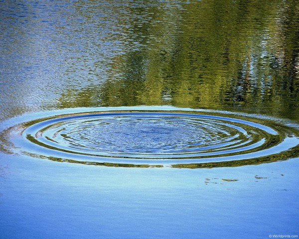 Волгоградцев, утопивших в Астраханской области вусмерть пьяного друга, будут судить 