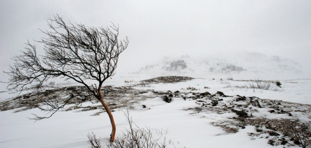 В среду синоптики обещают астраханцам очень сильный ветер