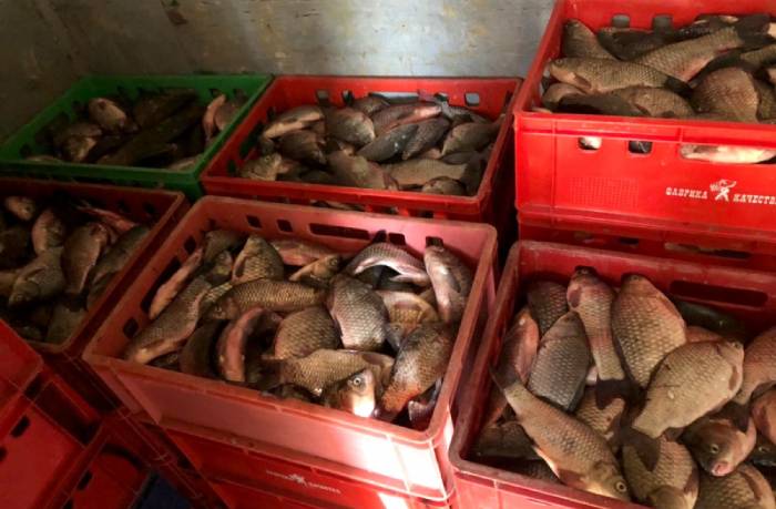 Два астраханца украли 700 килограммов улова у своего предприятия