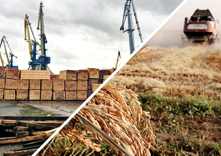Иранские компании готовы выращивать рис в Астраханской области