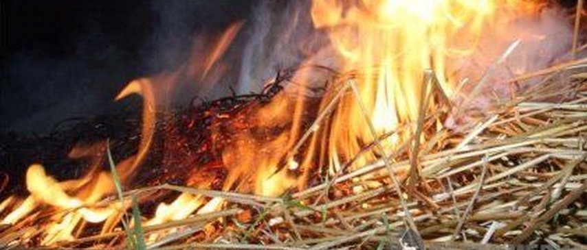 В Астрахани дети спалили 45 тонн сена