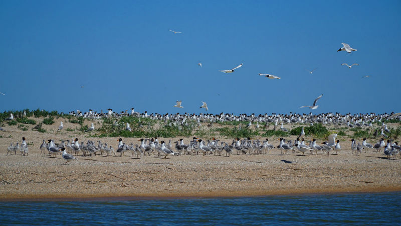 На программу экологической безопасности в 2017 году ЛУКОЙЛ направил свыше 4,5 миллиардов рублей