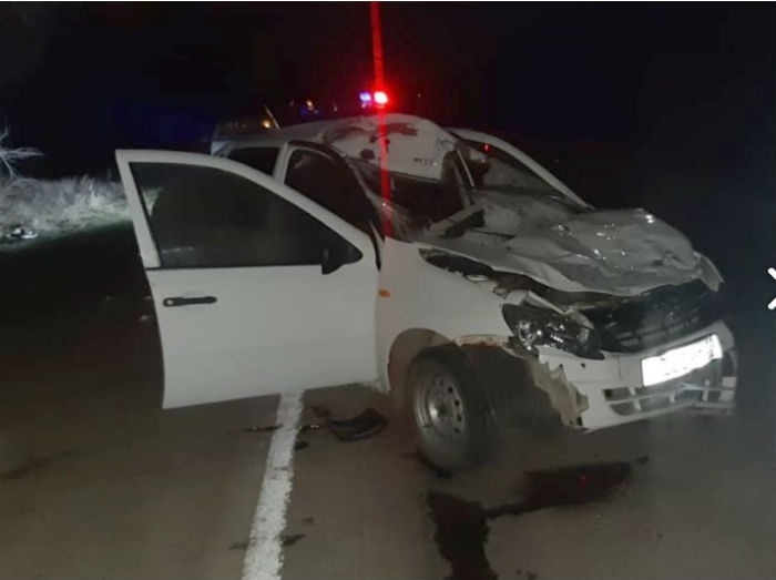 Подросток погиб в ДТП с лошадью под Астраханью 