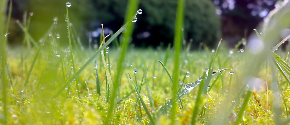 В воскресенье астраханцам обещают жару и небольшой дождь