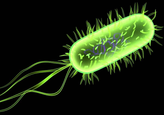 16 СЛУЧАЕВ МЕНИНГИТА С НАЧАЛА ГОДА