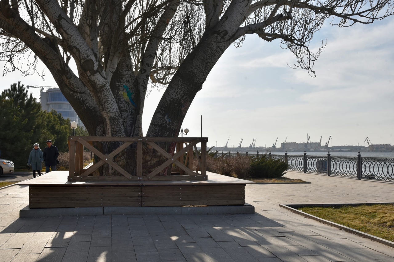 Вокруг астраханского тополя на Набережной Волги появилась лавочка