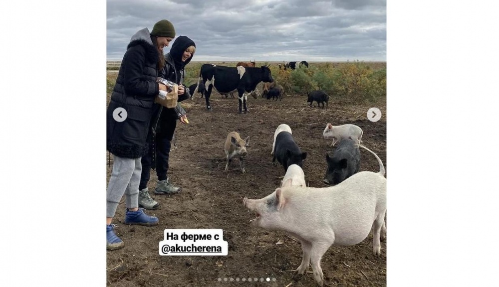 Певица Валерия кормила поросят на базе "LaDacha" под Астраханью
