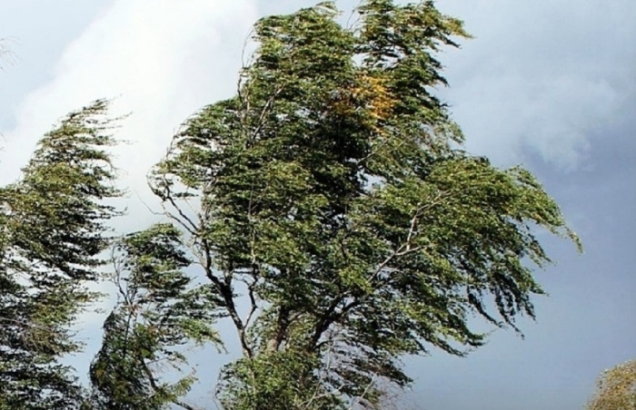 Администрация Астрахани: Сильный ветер в городе сохранится и сегодня 