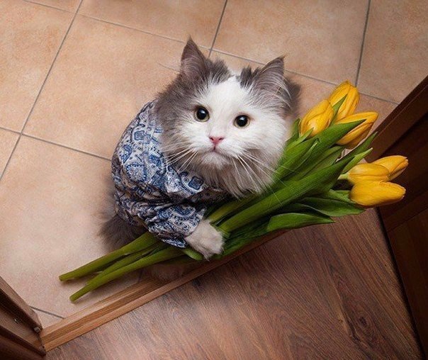 С Международным женским днем!