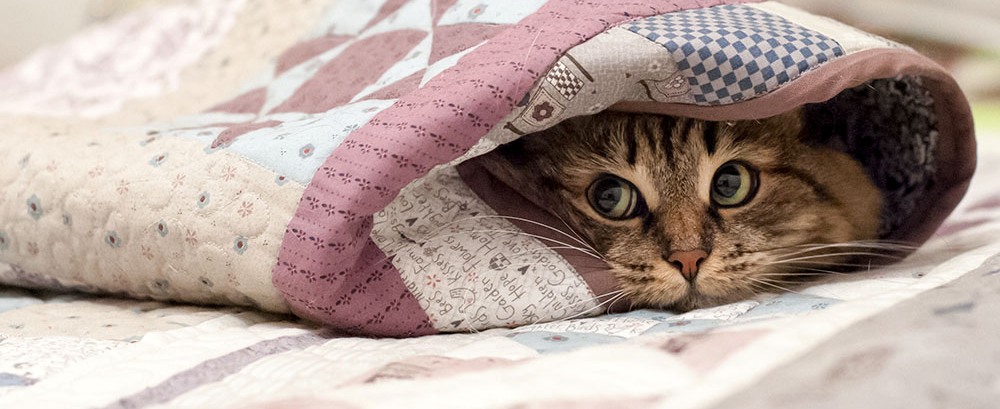 Астраханские спасатели выпустили штормовое предупреждение