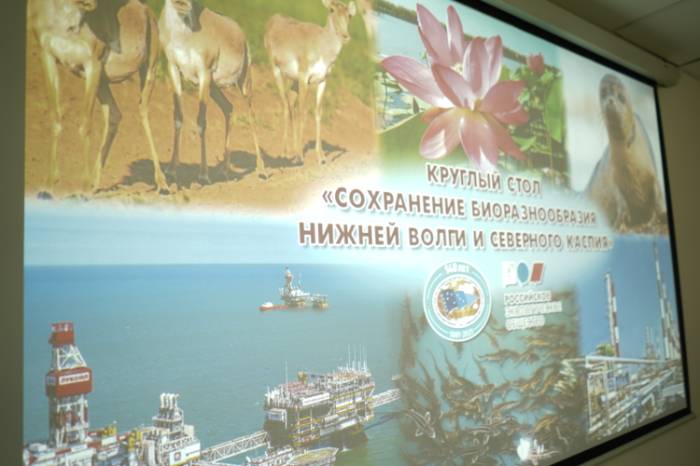В Астраханской области обсудили вопросы сохранения биоразнообразия Нижней Волги и Северного Каспия