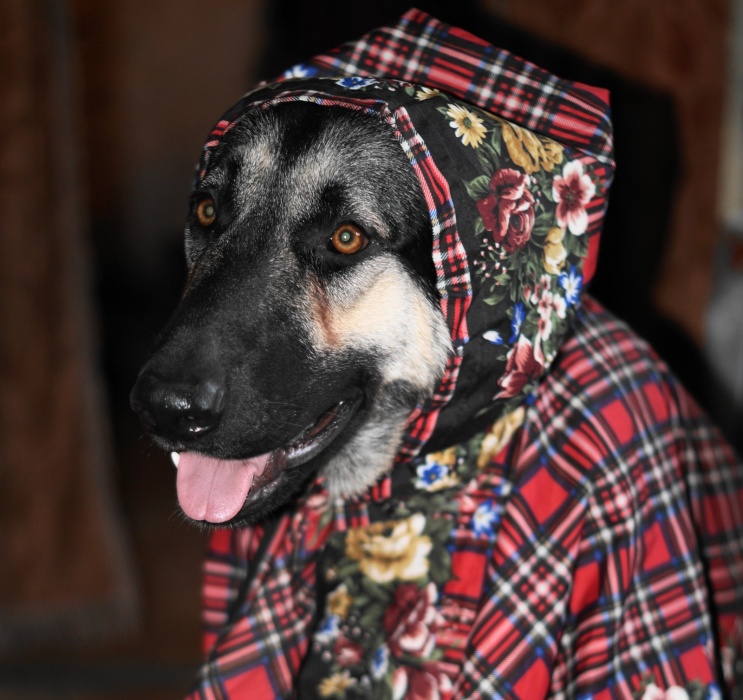 Завтра в Астрахани будет еще холоднее