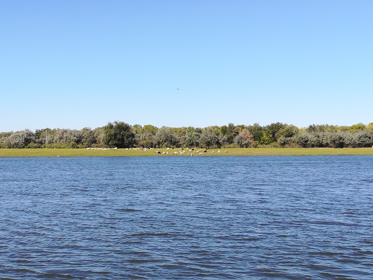 Пощадит ли астраханцев погода в середине рабочей недели?