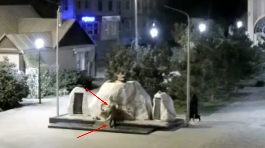Ребенок осквернил памятник Воинам-интернационалистам в Астрахани: видео