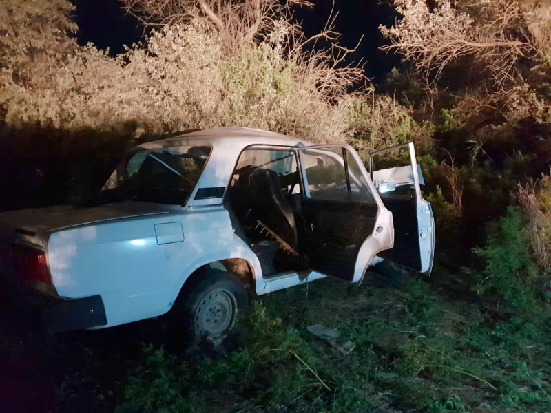 Под Астраханью корова стала причиной смерти водителя
