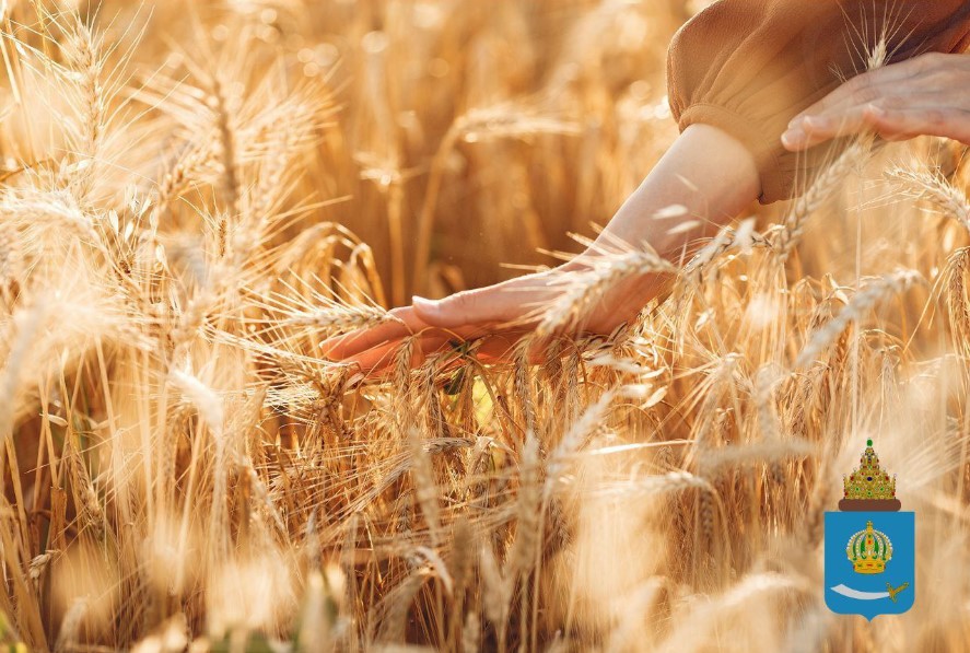 Топ вакансий в астраханском агропроме, где готовы платить от 50 тысяч рублей