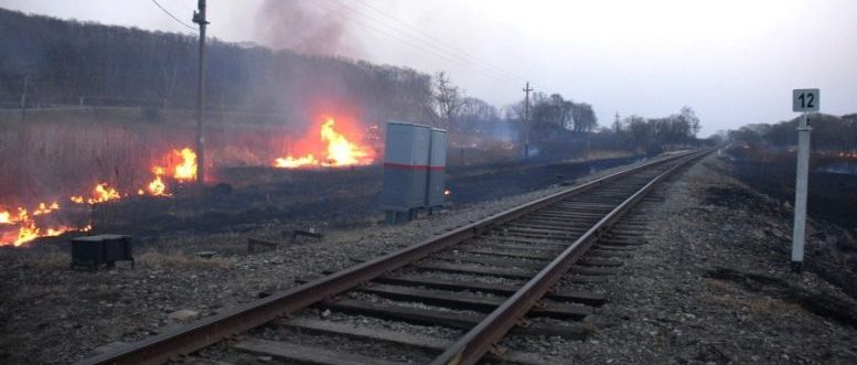 В Астраханской области разгорелся крупный пожар вдоль железнодорожных путей