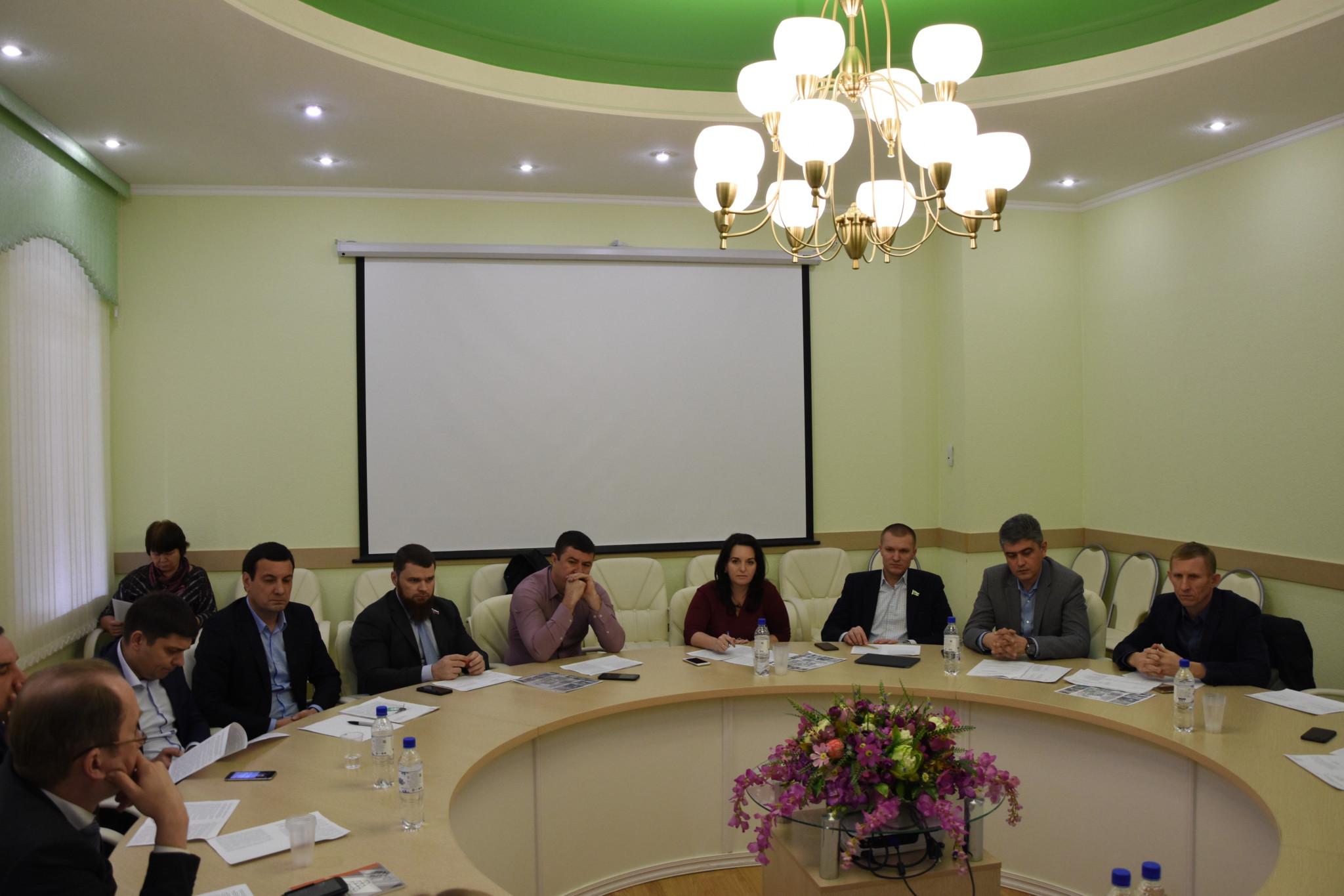 Депутаты Гордумы делают ставку на государственно-частное партнерство