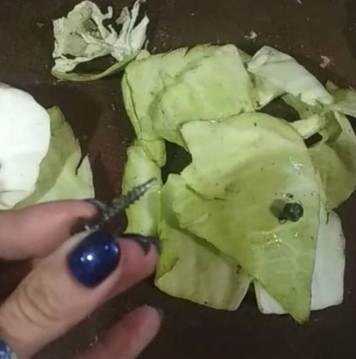 В астраханском зоопарке в корме для животных нашли саморезы 