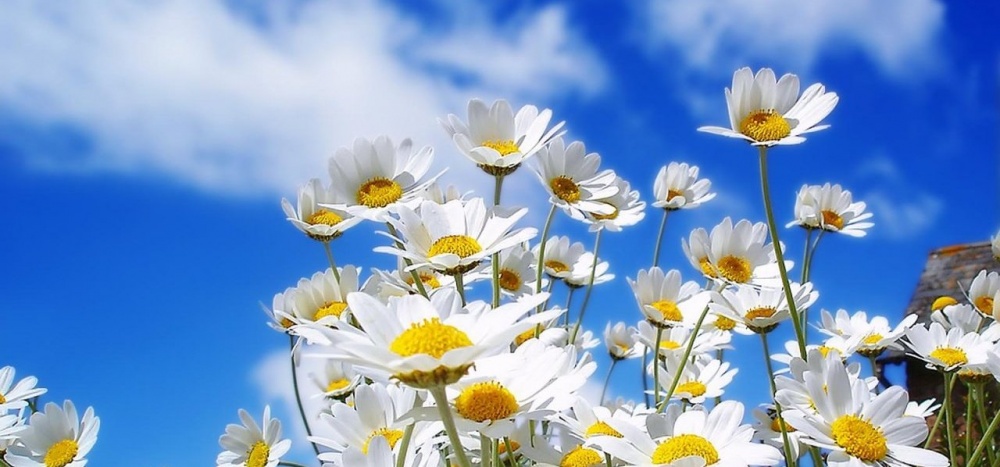 В среду в Астрахани начнется долгожданное похолодание