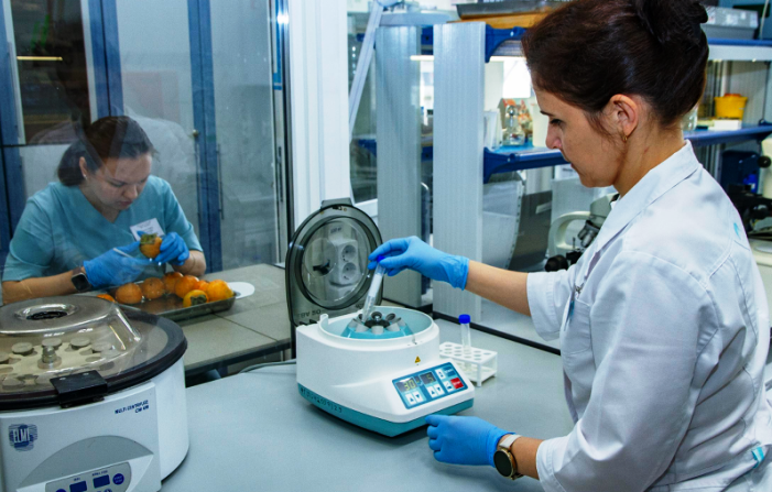 За год в прибывшей на территорию Астраханской области импортной продукции нашли пять карантинных видов