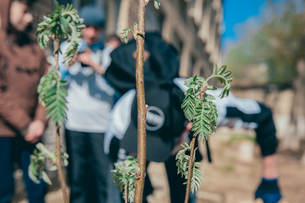  Благодаря совместному проекту ЛУКОЙЛа и АГУ в 12 астраханских школах появятся зеленые оазисы