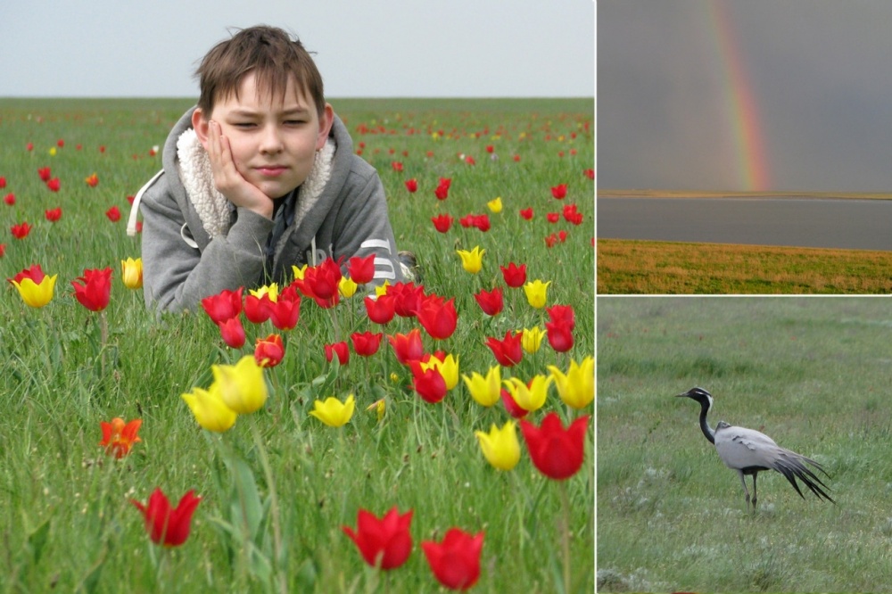 Астраханцев приглашают посмотреть на природное чудо