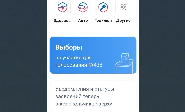 Узнать важную информацию о выборах астраханцы могут на Госуслугах