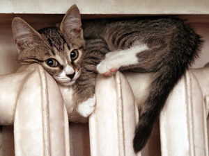 Отопительный сезон в Астрахани стартует после 25 октября