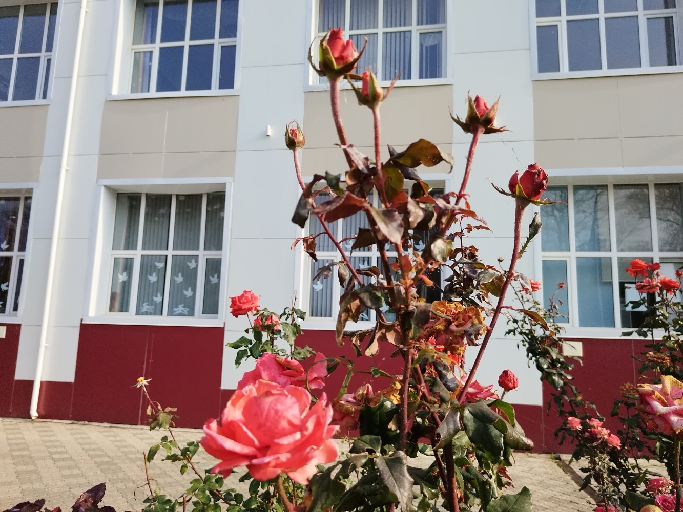 Декабрь встретит астраханцев легким потеплением