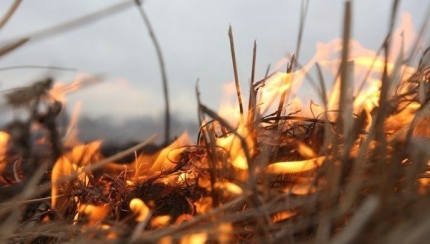 В Астрахани и области в выходные существует опасность пожаров