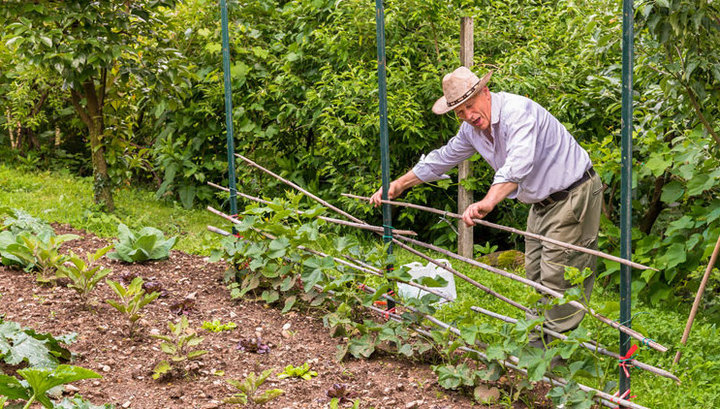 Астраханцам могут разрешить работать на своих дачах в условиях карантина