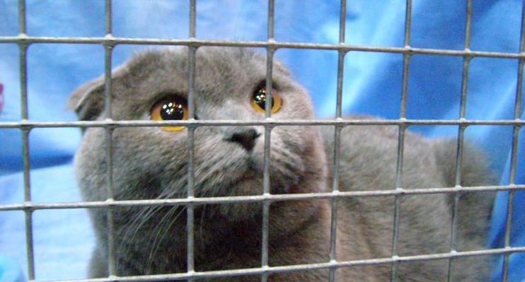 Астраханским пенсионерам продлили изоляцию до следующего года