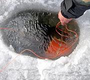 Астраханская полицию задержала браконьеров из соседнего региона