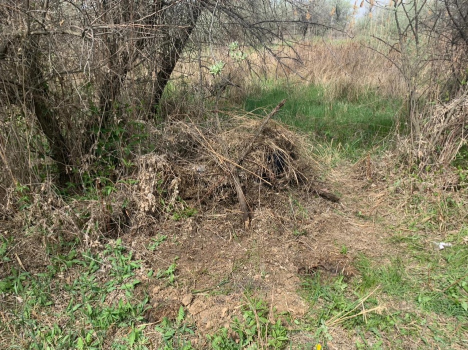 Жуткие подробности и причина убийства пропавшего астраханца Антона Шабанова