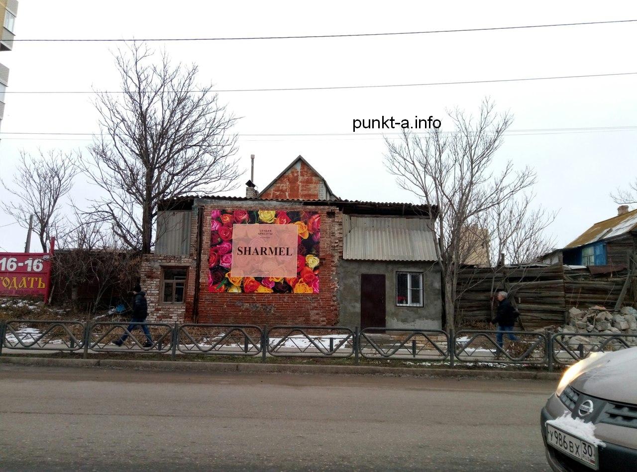 Фото дня: красота - страшная сила