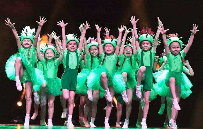 Астраханский хореографический центр стал заслуженным коллективом народного творчества