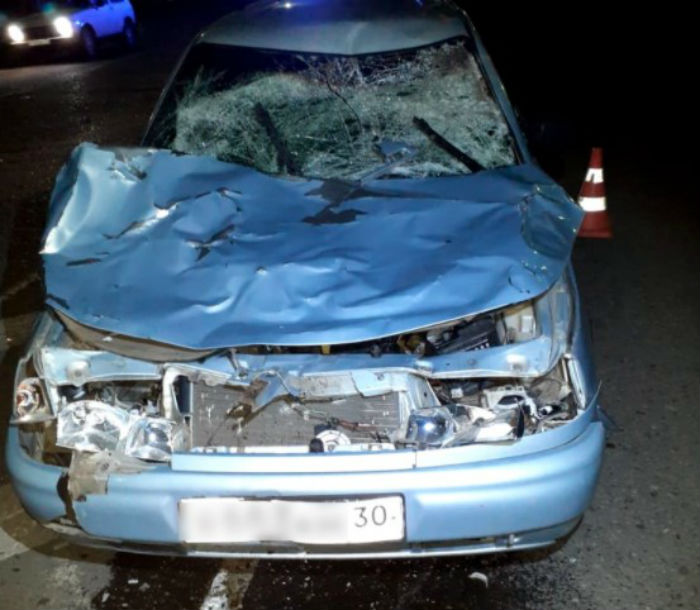 Астраханец потерял корову, которая успела совершить серьезную аварию