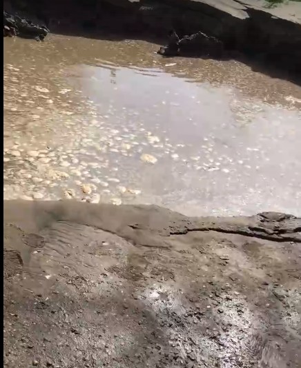 Возле Астраханского технического университета провалился огромный кусок асфальта (ВИДЕО)