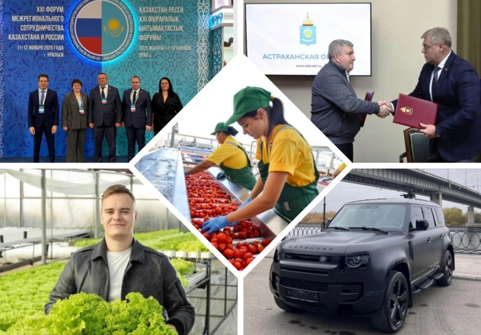 Астрахань. Итоги ноября-2025. Помидоры у нас растут хорошо. В отличие от зарплат