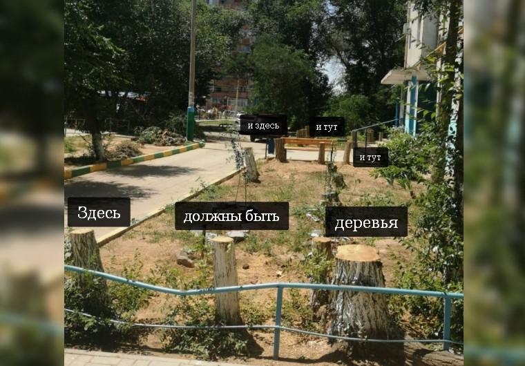 В 35-градусную жару в астраханском дворе спилили 30 живых деревьев