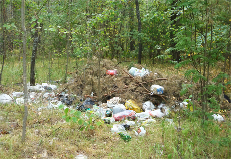 В Астраханском природном парке устроили свалку