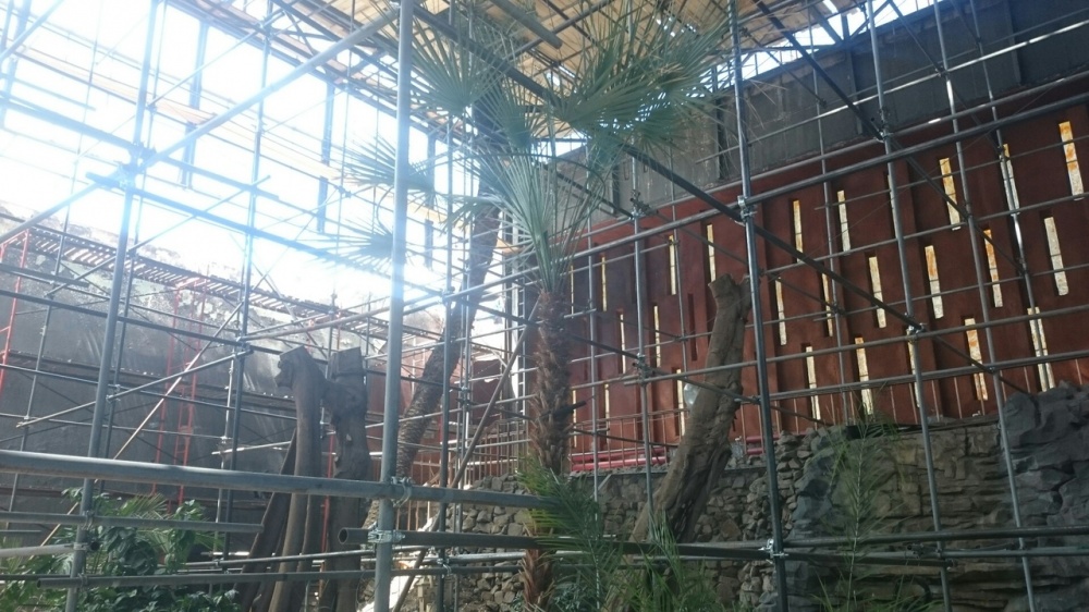 Как продвигается реконструкция кинотеатра "Октябрь"