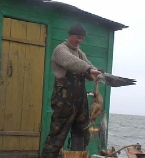 Крутое «Home video» из Астраханского заповедника