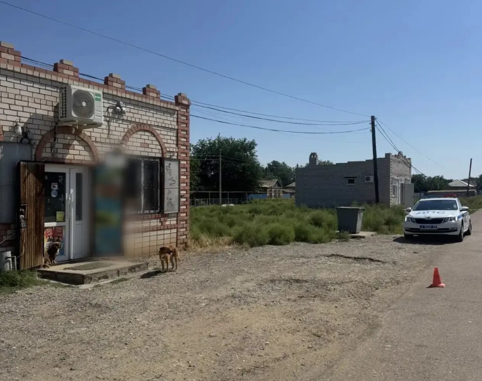 Астраханская полиция разыскивает водителя, сбившего маму с ребенком и скрывшегося