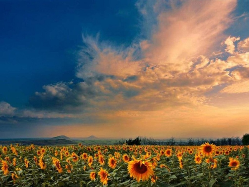 Астраханская погода в августе