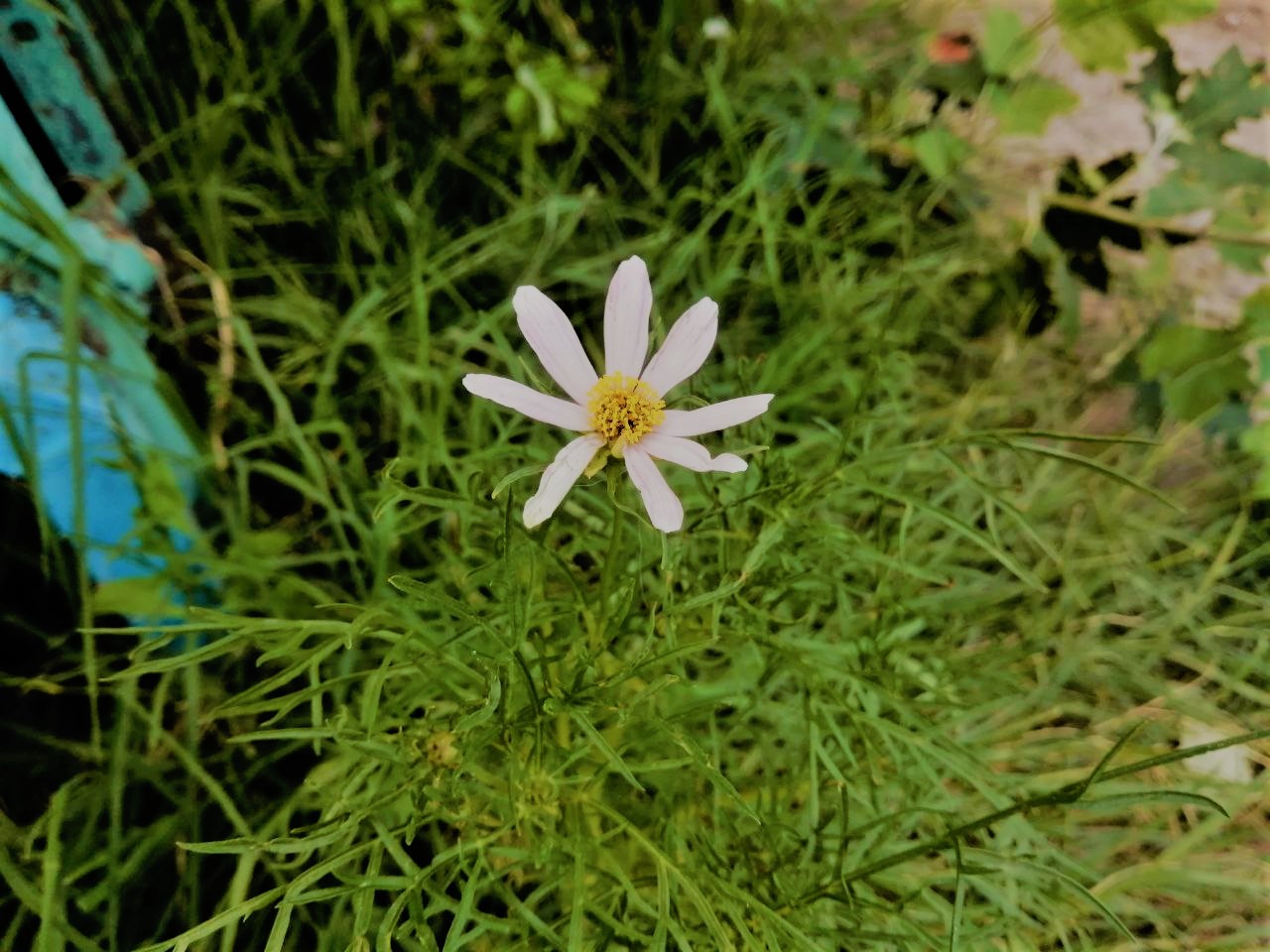 Завтра в Астраханской области установится знойная жара