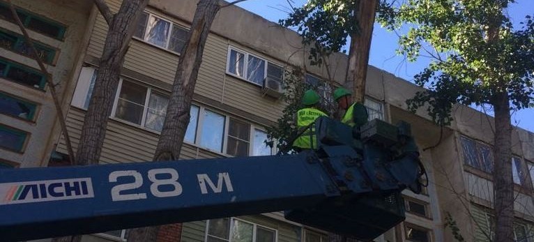 В Астрахани ворона терроризировала жителей многоэтажки